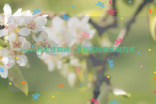 kaiyun:标志性瞬间，英超的经典庆祝方式